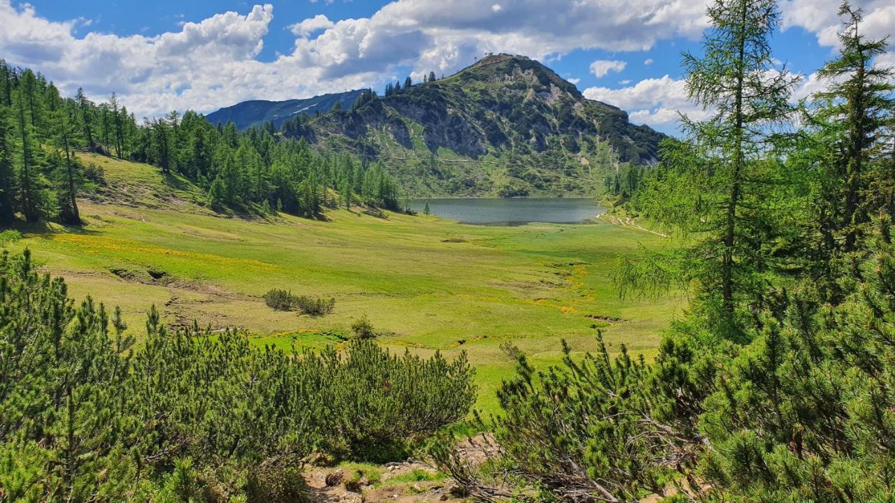Apartman Таупліц Екстер'єр фото